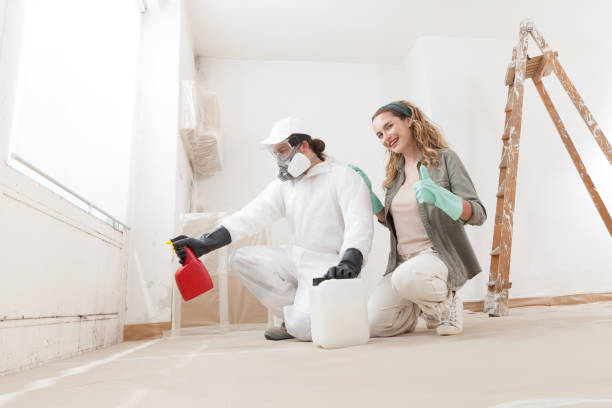 Sunnyvale, TX Mold Removal Company